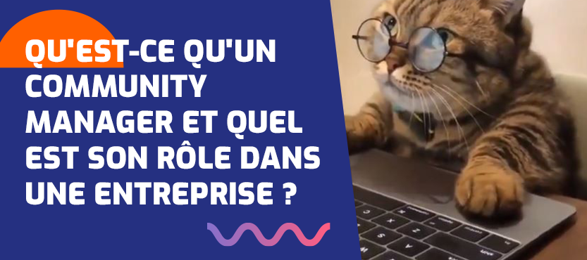 Image avec un chat devant un ordinateur avec des lunettes : Qu'est-ce qu'un community manager et quel est son rôle dans une entreprise ?