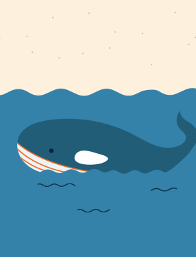 Audilab, illustration de baleine pour le motion design