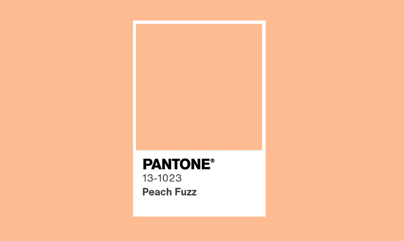 couleur pantone Fuzztea