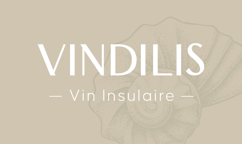 Btg communication donne vie aux vins de Vindilis